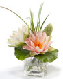 Lotus Blossoms & Lily Pad