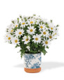 Greenhouse Daisy Bush Faux Flower Accent