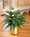 Spathiphyllum Silk Plant with Elegant Peace Lilies
