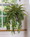 Mixed Hanging Ferns Silk Foliage Planter