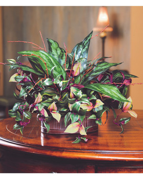 silver king & wandering jew silk planter, cascading assortment, mauve with variegated verdant leaves in aged metal planter