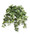 Cascading Pothos<br>Faux Foliage Planter