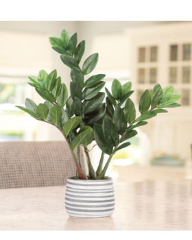ZZ Pot Faux Zamioculcas Zamiifolia Tabletop Plant In gray and white striped ceramic pot. Available at Petals.