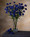 Cornflower Silk Flower Stem Spray - 21.5"