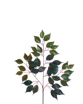 22" Artificial Ficus Foliage Branch (x 3)