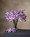 Cream/Lavender Mini Phalaenopsis Orchid Artificial Foliage Stem