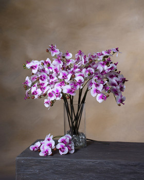 Cream/Lavender Mini Phalaenopsis Orchid Artificial Foliage Stem