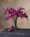 18" Artificial Mini Dendrobium Orchid Stem in Cream Purple