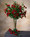 Red Rambling Rose Silk Flower Stem Spray - 30.5"