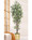 5' Greenhouse Silk Ficus Tree by Petals.