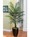 6.5' Silk Areca Palm Tree
